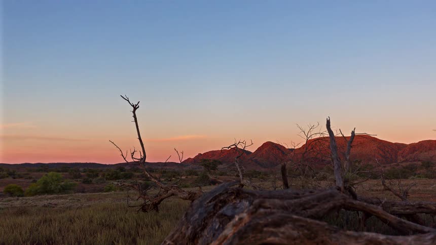 A sunset time lapse captures the sky fading from gold to purple over gnarled dead branches and rugged desert hills