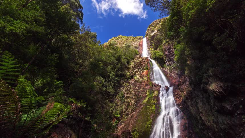 Tall waterfall cascades down a mossy cliff in a dense green forest under a blue sky