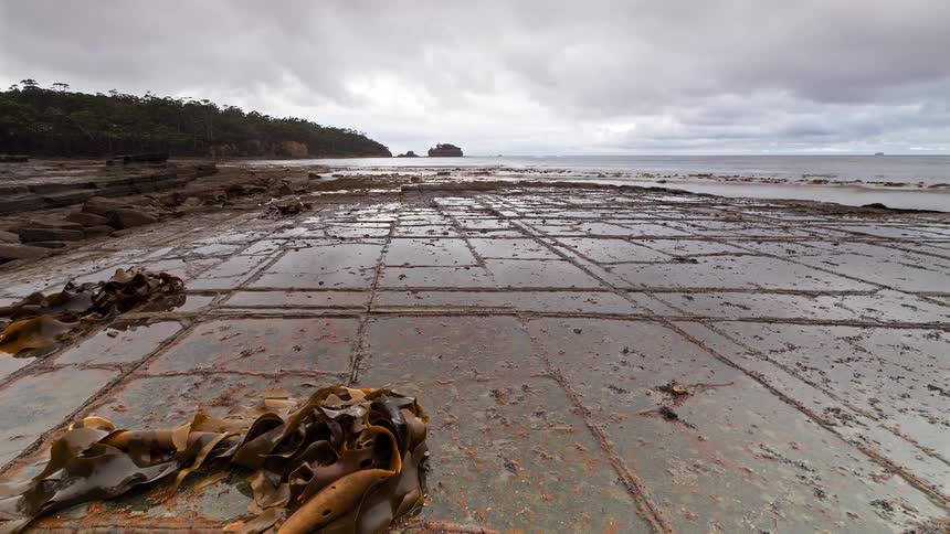 Coastal rock platform exposed at low tide with seaweed in the foreground ocean in the background and a cloudy sky