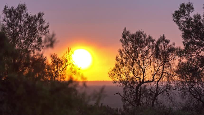 The sun sets behind silhouetted trees casting a warm orange and purple glow across the evening sky