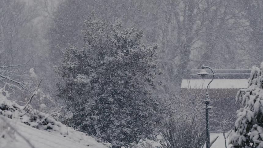 Heavy snow falls over a quiet garden where a large evergreen tree stands and a vintage style lamppost and a building roof appear partially obscured by the thick white flurry during this intense winter weather event