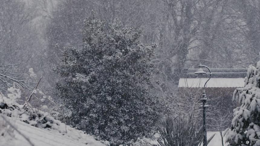 Snow falls on a building at the edge of a forest during a blizzard among snow covered trees
