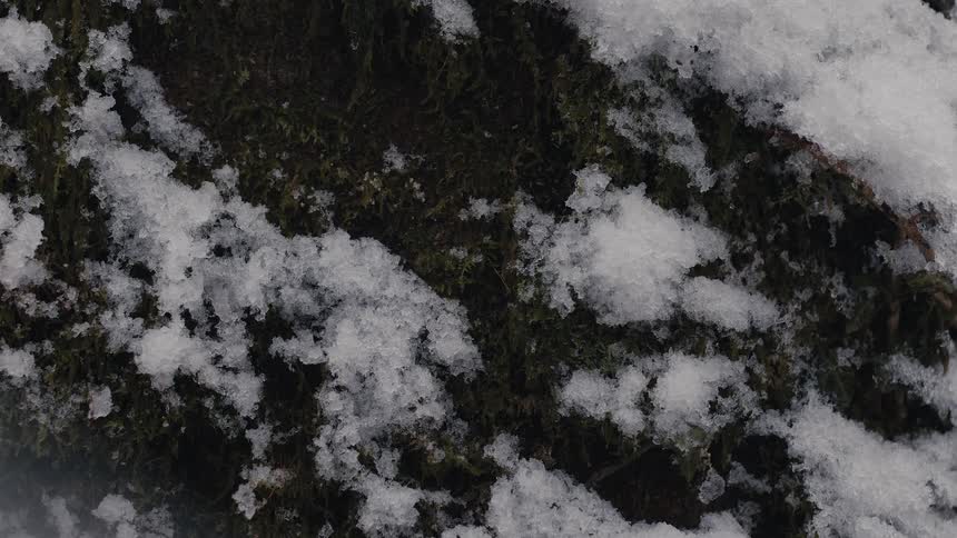 Slush on the ground as a few snowflakes fall
