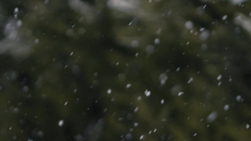 Snowflakes fall from a winter sky among plants and vegetation