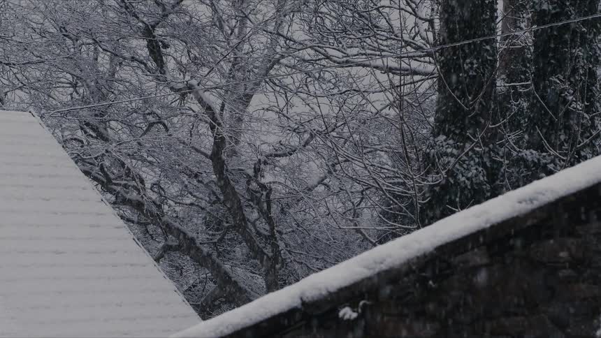 Snowcovered roof and trees with interlaced branches under a gray sky