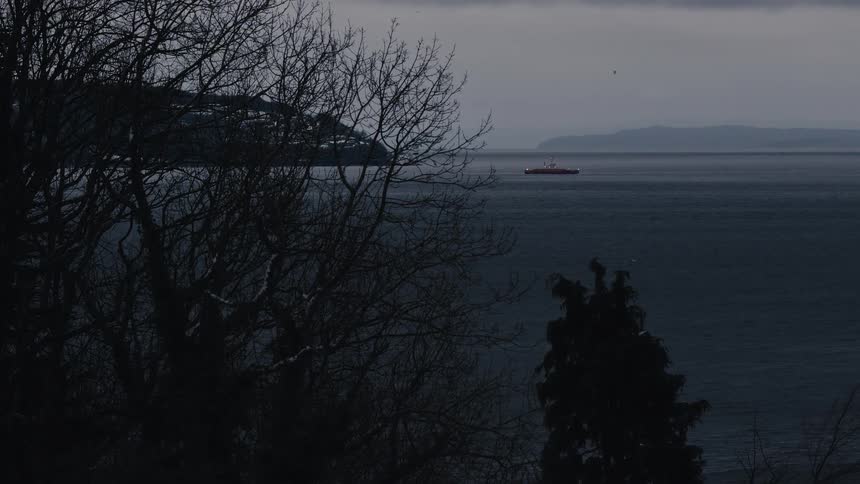 Isolated vessel on the sea under an overcast sky with tree silhouettes in the foreground and a distant coastline in the background