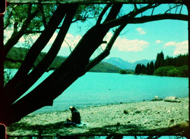 The person is sitting under a tree by the lake