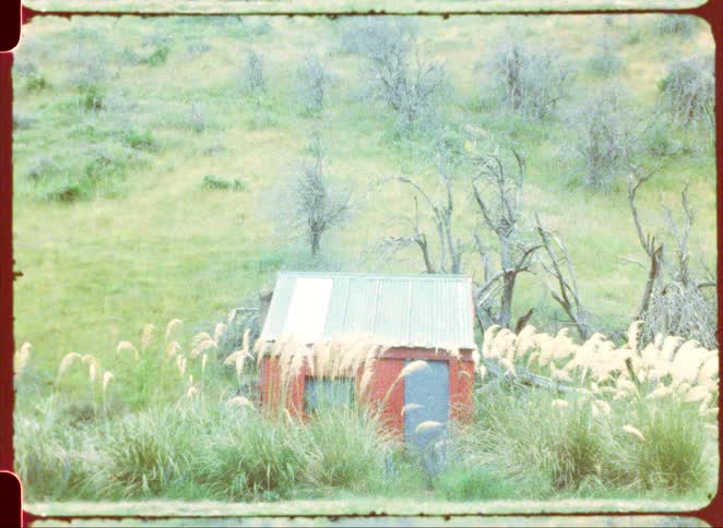 A small red shack with a corrugated metal roof and a gray door sits nestled in a grassy hillside surrounded by tall pampas grass and several bare trees under a soft overcast light