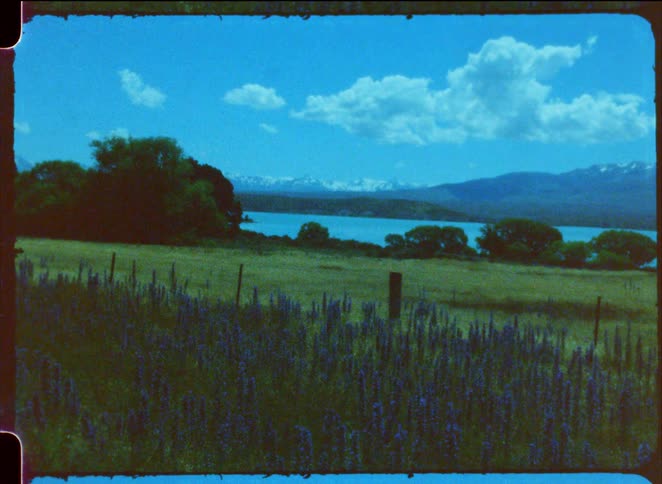 Field with wildflowers in the foreground a lake in the middle ground and a mountain range in the background under a blue sky