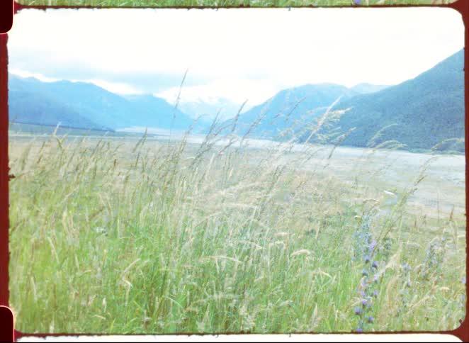 Tall grass moves in the wind across a wide valley floor while blue mountains rise under a cloudy sky in the distance