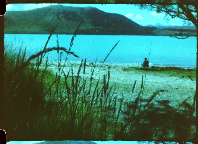 A view of a grassy and coast area