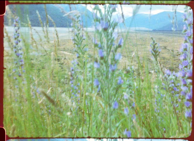 Green fields are on the cliff of the mountain