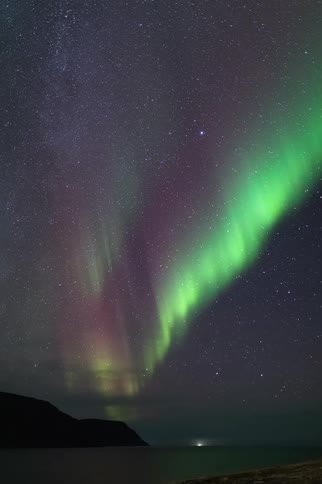 Northern lights forming green and purple bands above the sea under a starry night sky