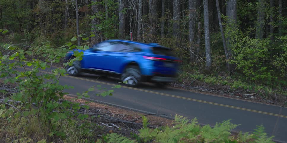 A view of a car driving in a forest