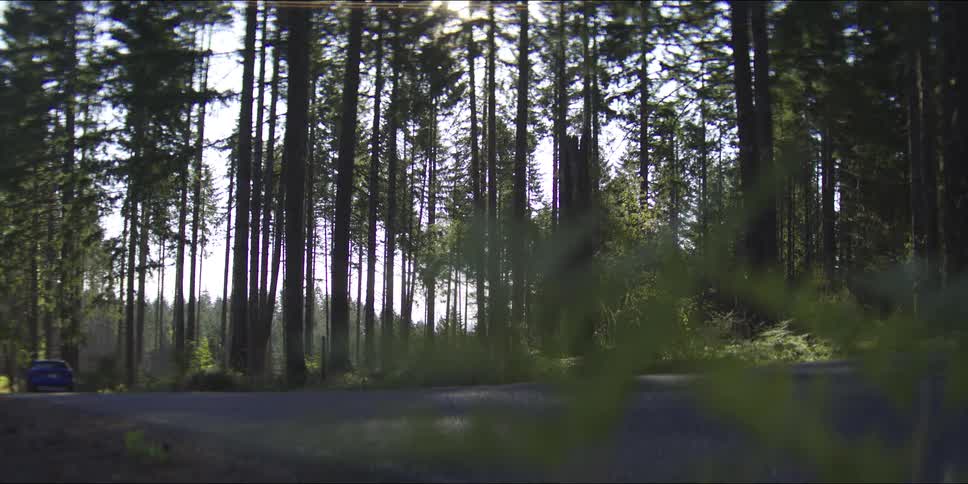 A blue suv glides along a quiet forest road motionblurred against tall trees and soft green undergrowth filtering the daylight