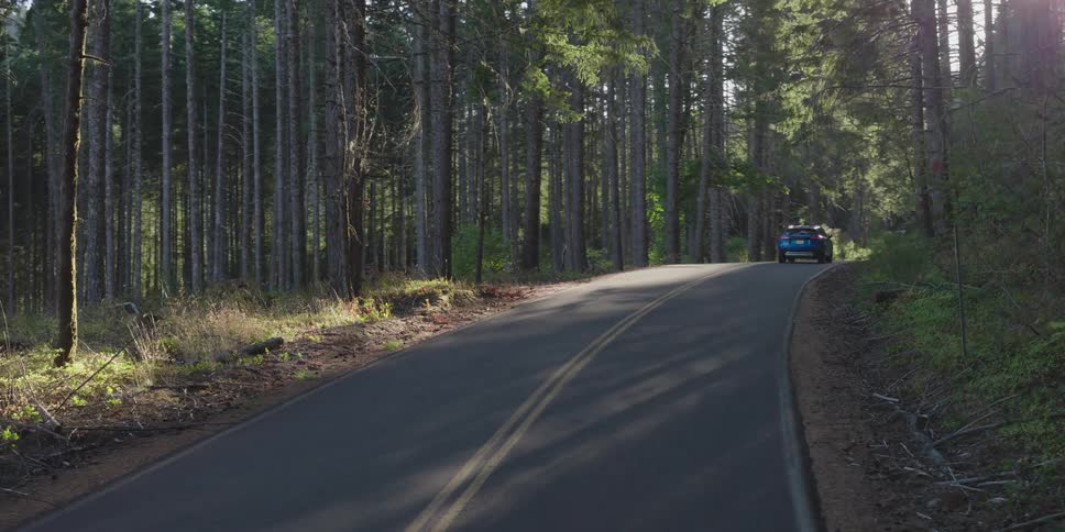 Blue personal car driving through a road surrounded by trees outdoors during day time