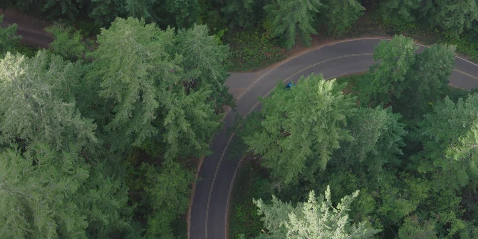 Car drives along a curve on a highway passing through the forest during the daytime