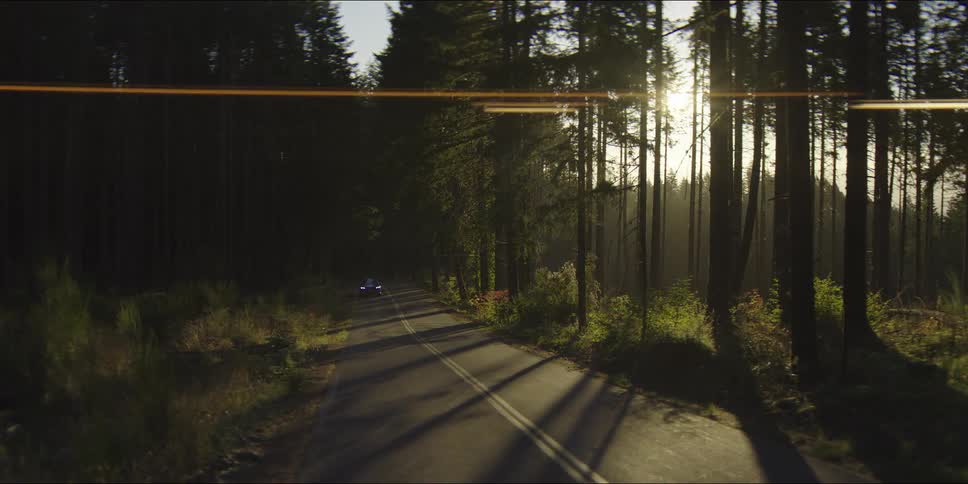 A blue suv drives along a paved road through a thick forest of tall pine trees as the bright sun shines through the branches creating long shadows and a lens flare across the front of the moving vehicle