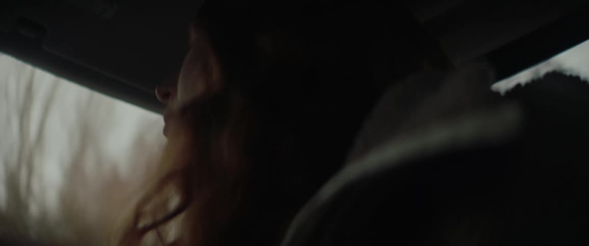 A woman with long wavy ginger hair sits inside a car looking out the window at a passing forest landscape with bare trees while soft natural light illuminates her profile through the vehicle glass