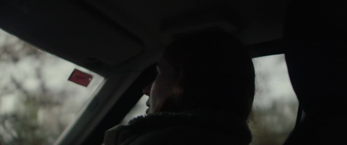 A view from inside a car shows a woman with long reddish brown hair wearing a beige fleece jacket sitting in the drivers seat as the vehicle moves through an outdoor area with trees in the background