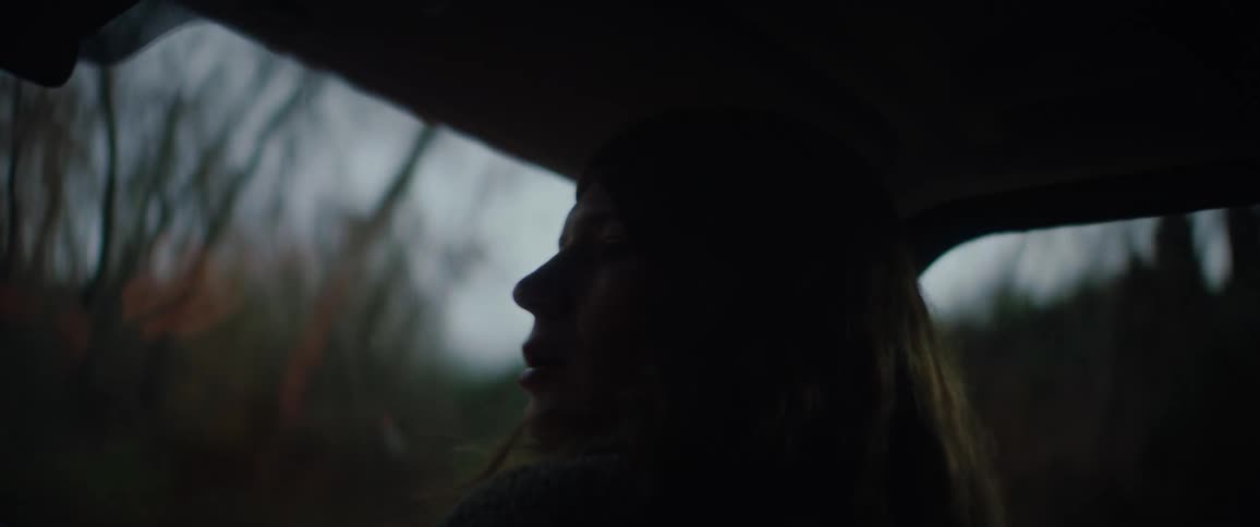 A woman sitting in the passenger seat of a car