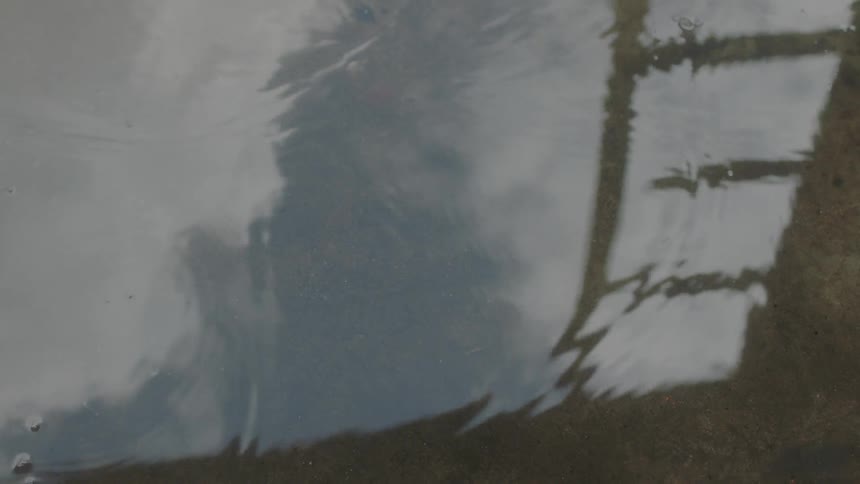 A person walks through a puddle on the ground