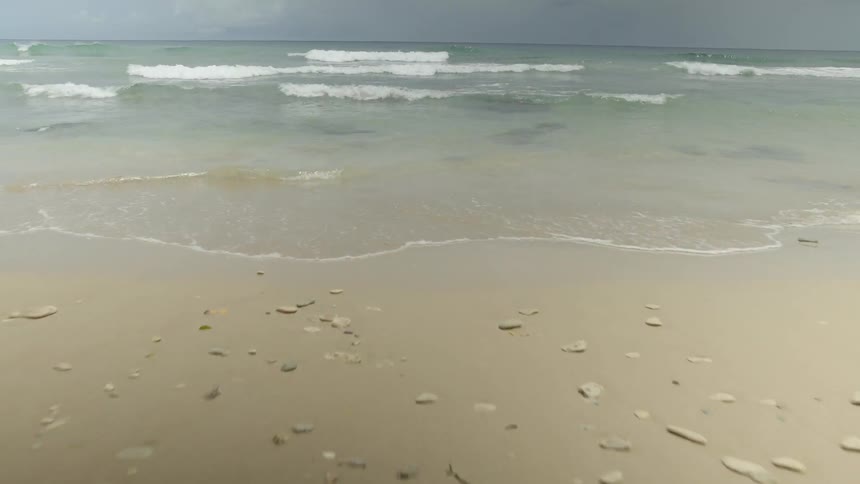 Small waves crash onto the beach shore