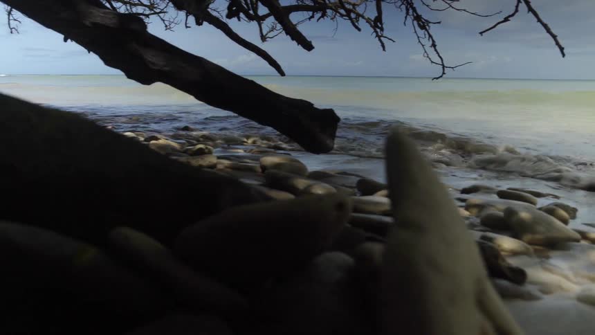 Ocean water splashing up onto rocky beach