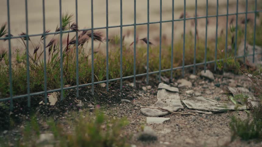 Old sock on the ground next to a metal fence as plants move in the breeze