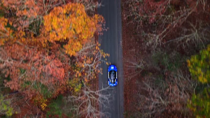 Car travels along a highway passing forest trees without leaves and with fall foliage on an autumn day