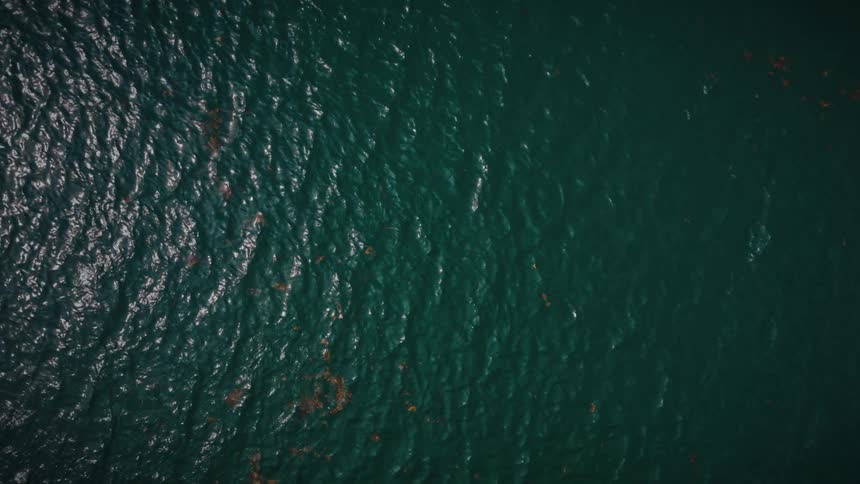 Dark water surface shows ripples with scattered patches of vegetation