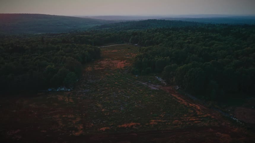 Streams border a field partially enclosed by forests after dusk during foggy weather