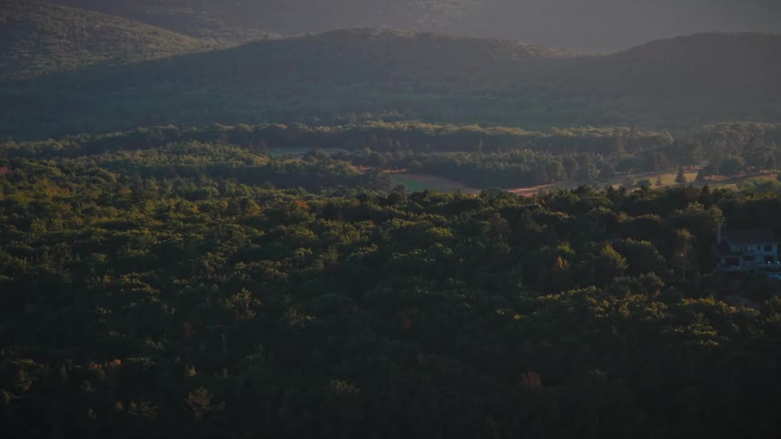 An expansive green forest across rolling mountains during golden hour