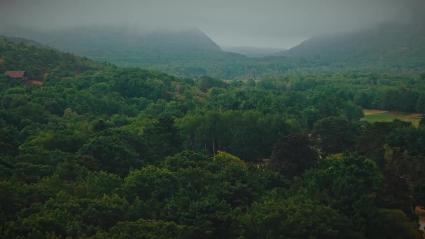 A sweeping mistsoftened panorama of a lush green valley and dense forest with layered hills and distant fogshrouded mountains receding into a pale sky