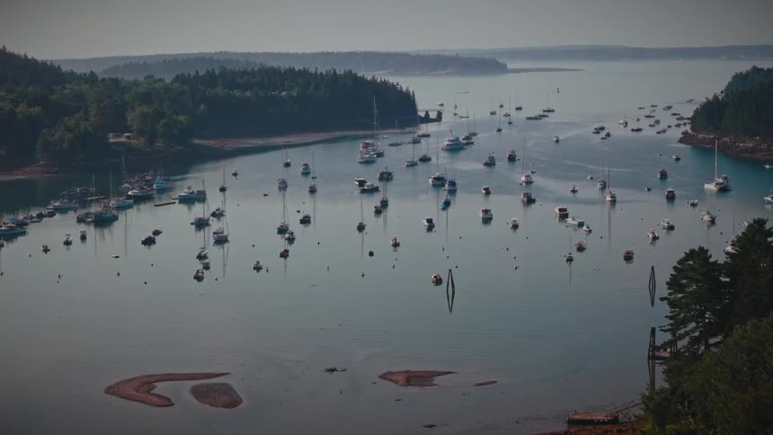Boats anchored in an inlet surrounded by forested peninsulas