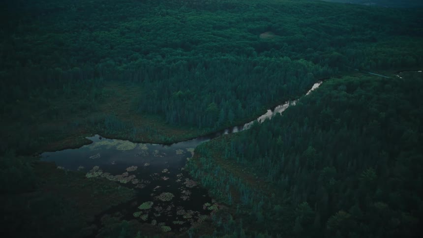 Aerial view of a small marshy pond dotted with lily pads and a narrow reflective stream snaking out through dense darkgreen forest