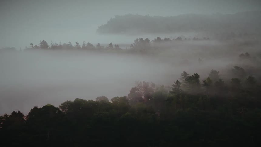 Thick fog hangs low over the water of a forested coast