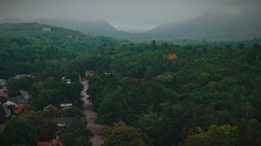 Village surrounded by dense forest with mountains in the background