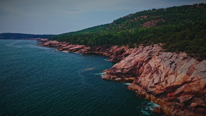 Forest on a rocky cliff next to the coast outdoors during day time