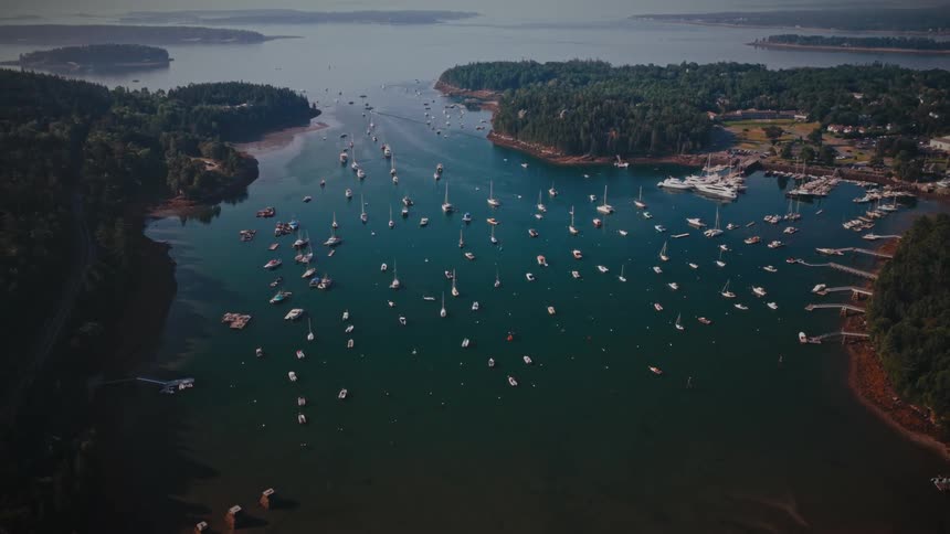 An aerial view shows numerous boats anchored in a calm tree lined harbor on a clear day