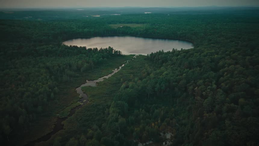 An aerial drone shot pulls back from a tranquil lake and winding river nestled within a dense expansive forest revealing a distant road and car