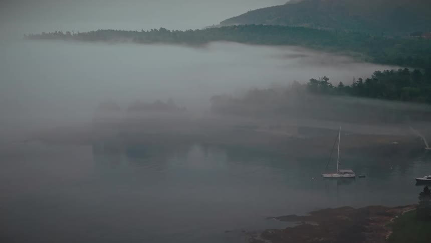 Boats float on the reflective water near a forested coast on a foggy day