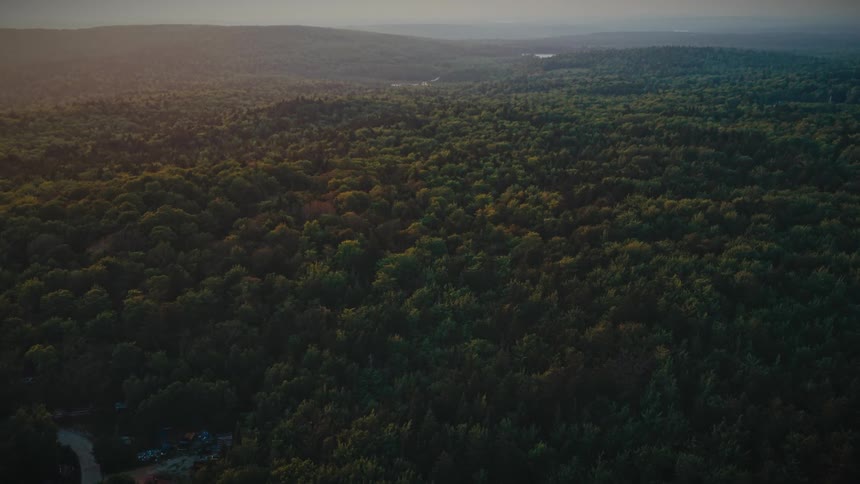 Aerial of a deciduous forest with hills in the distance