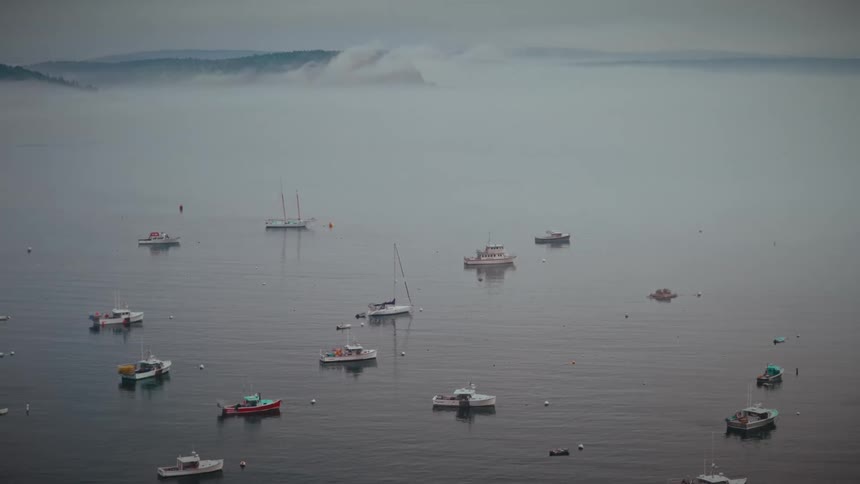 A series of sailboats docked close together in the ocean with a foggy atmosphere in the background at midday