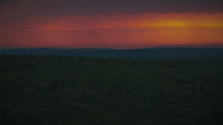 Orange sky on the horizon above dense forest