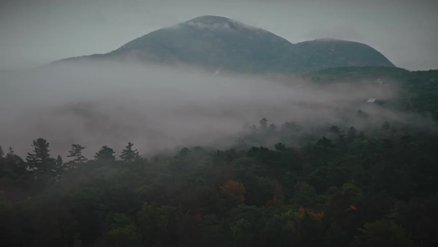 Layers of mist cover a forested valley before a mountain in the background