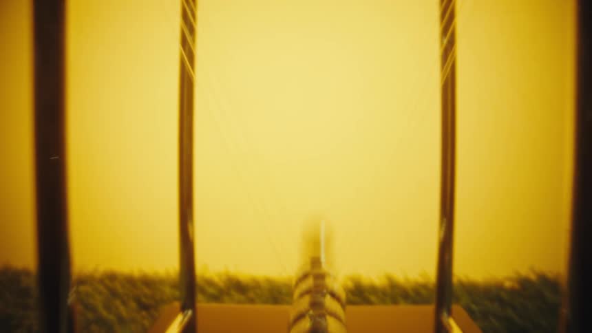 A person with a ring on their finger pulls back a silver ball on a newtons cradle and releases it to begin the rhythmic motion against a warm yellow background on a patch of green grass