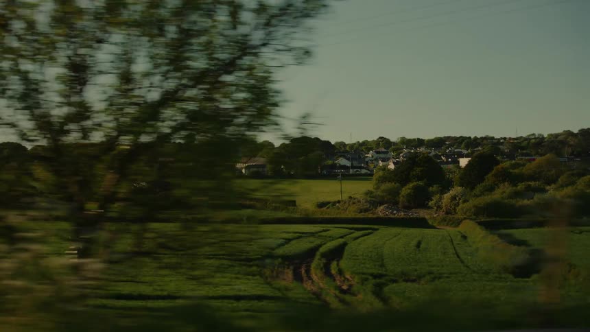 A large grassland area in the countryside seen from the roadside during a road trip at sunset