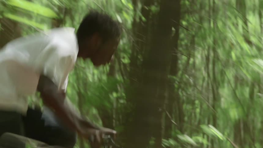 A boy rides a bike through the woods