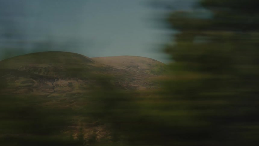 Barren hills stretch beneath a clear sky with foreground vegetation